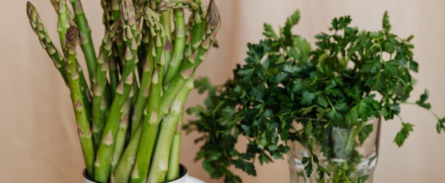 Błonnik – co warto o nim wiedzieć