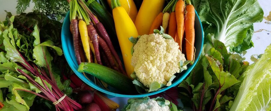 Dieta alkaliczna – naturalne odkwaszenie organizmu