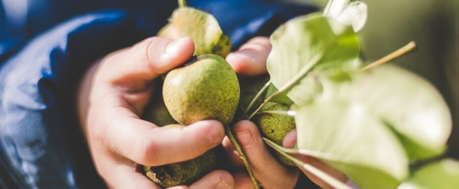 Dieta 1100 kcal – czy jest bezpieczna?