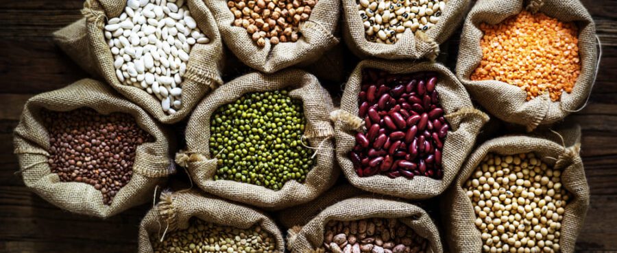 Jakie składniki pokarmowe są w roślinach strączkowych?