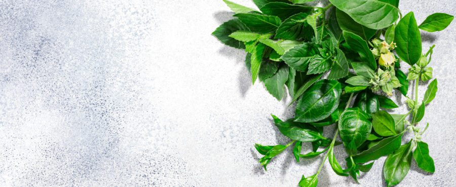 Co to jest ashwagandha i czy warto ją suplementować?