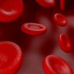 badanie krwi 2 900x370 1