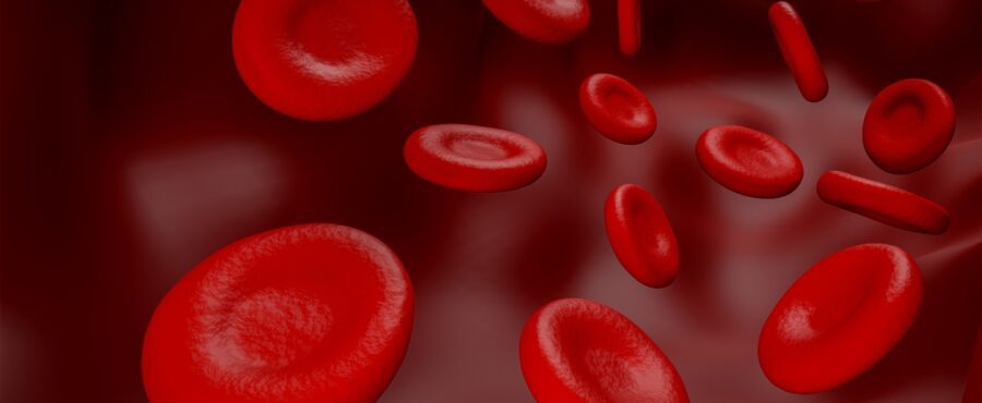 Czy wiesz, dlaczego warto regularnie badać krew? Odkryj powody i skorzystaj z naszego catering dietetycznego!