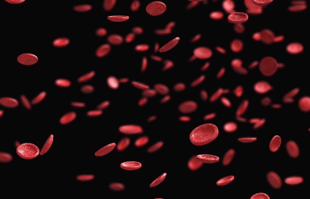 Czy wiesz, dlaczego warto regularnie badać krew? Odkryj powody i skorzystaj z naszego catering dietetycznego!